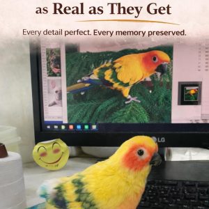 Personalized Photo Frame